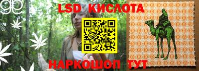 молекула духа Кандалакша