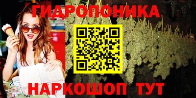 соль ск Канаш