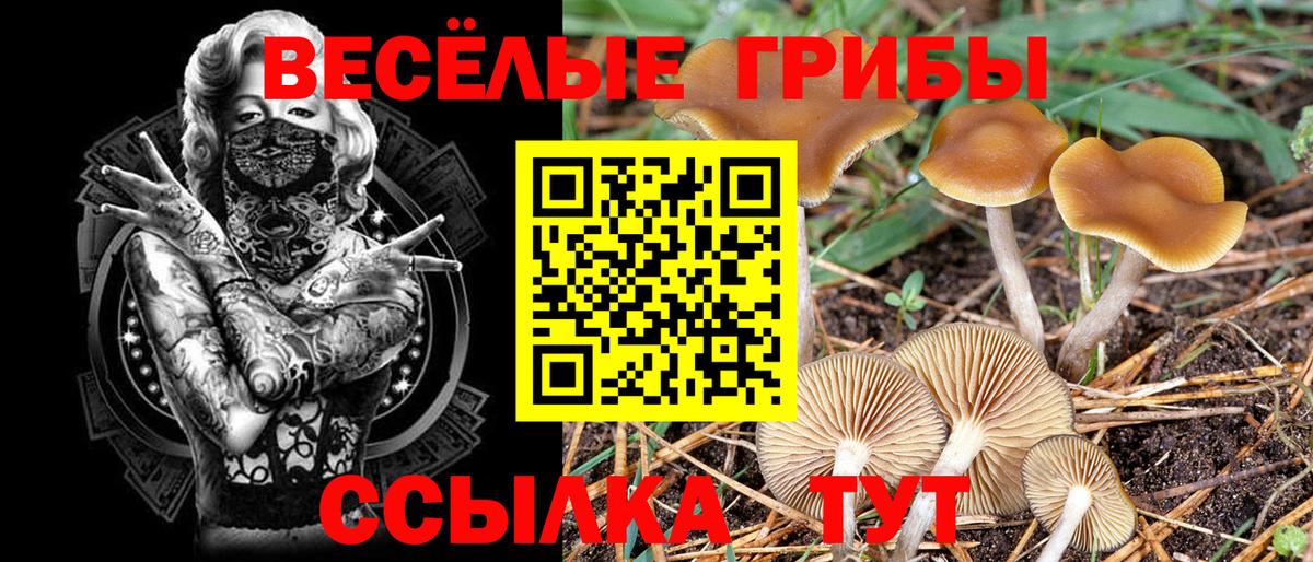 Галлюциногенные грибы мицелий  Вход с VPN  Кашира 